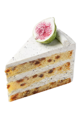 con15_test_img